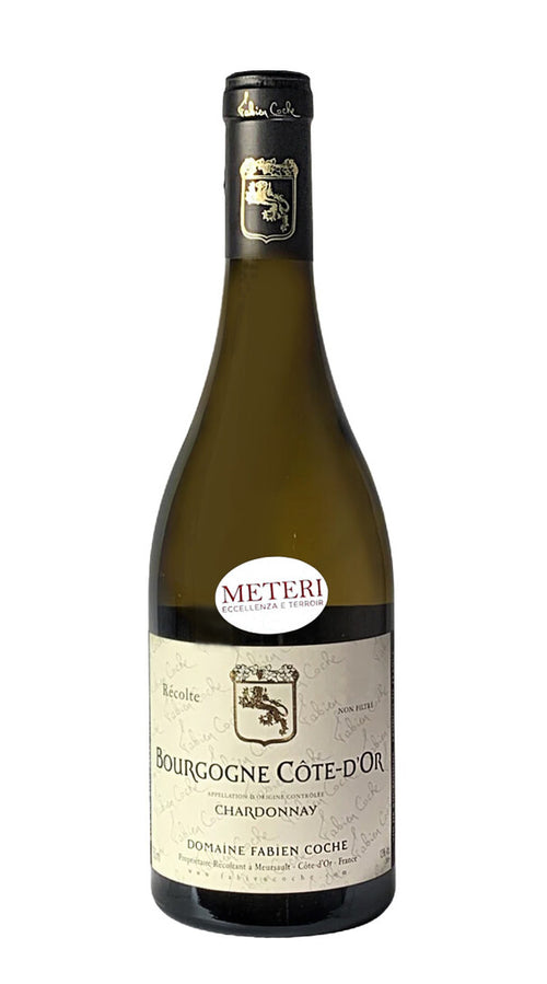 Bourgogne Cote D'Or Chardonnay Fabien Coche 2020