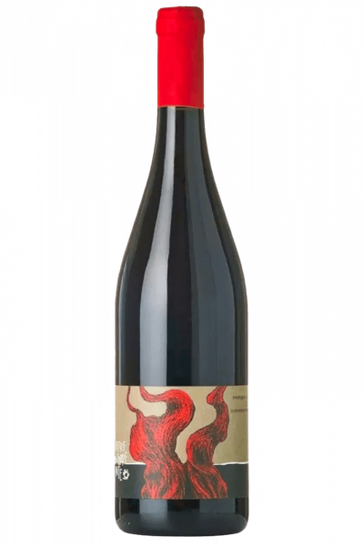 Colli Tortonesi DOC Barbera Superiore 2020 Oltretorrente