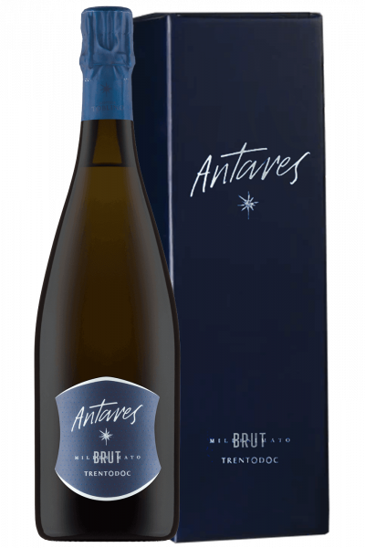 Trentodoc Brut Antares 2019 Cantina Toblino (Magnum With Case)