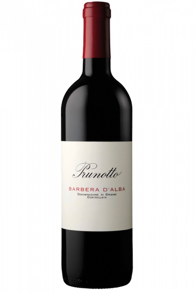 Barbera D'Alba DOC 2023 Prunotto