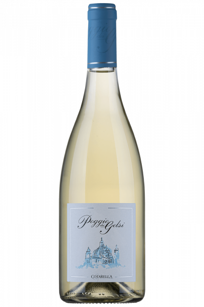 East! East!! East!!! From Montefiascone DOP Poggio Dei Gelsi 2022 Falesco