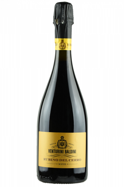 Sparkling Reggiano Lambrusco Dry DOC Rubino del Cerro 2020 Venturini Baldini