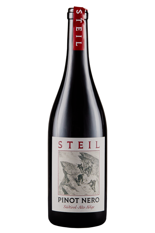Alto Adige Pinot Noir Steil