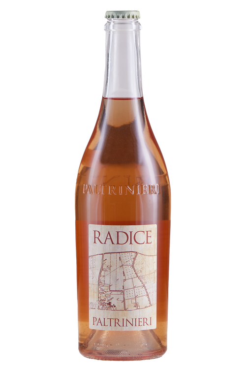 Lambrusco of Sorbara Root