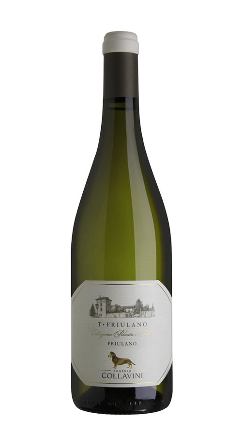 T-Friulano' Collavini 2023